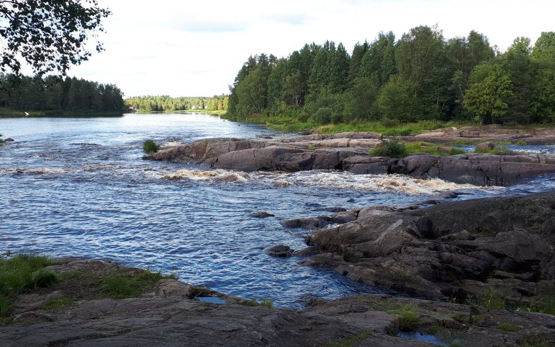 De slag om Suomussalmi en de rendiergrens