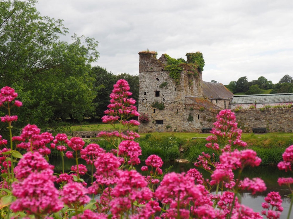 St Mullins castle, camperroute Ierland St Mullins castle, camperroute Ierland
