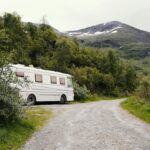 wildkamperen Noorwegen