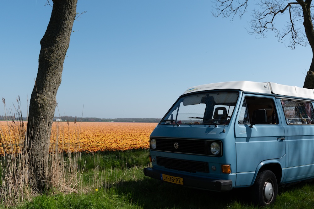 Camperbusje bij Tulpenveld